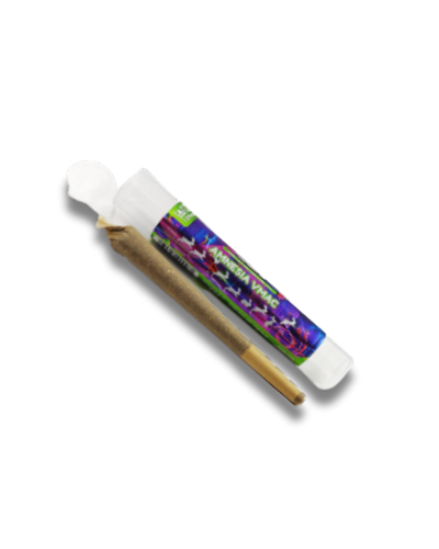 PréRoll Amnesia VMAC by White Rabbit