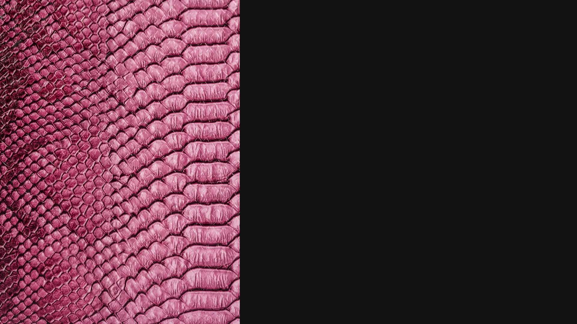 Pink Python